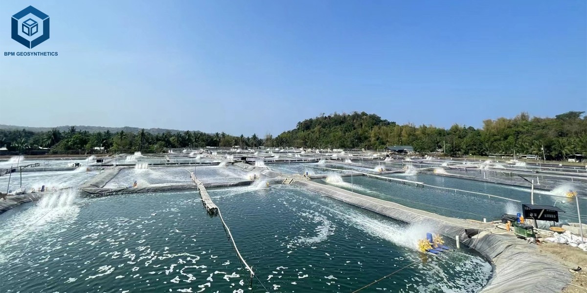 HDPE Sheet for Farm Pond HDPE Sheet for Farm Pond