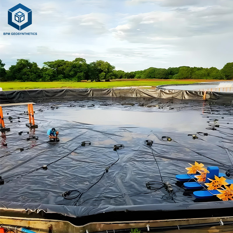 BPM Geomembrane Liner for Aquaculture