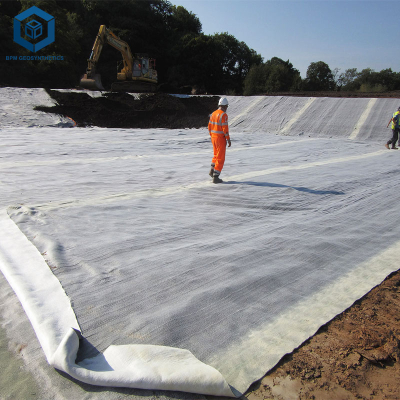 Durable Geosynthetic Clay Liner for Seepage Control Projects