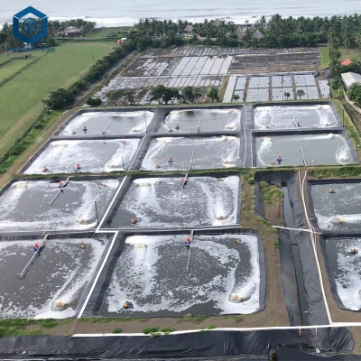 BPM Geomembranes in Aquaculture