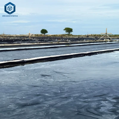 Application of BPM Geomembranes in Salt Industry