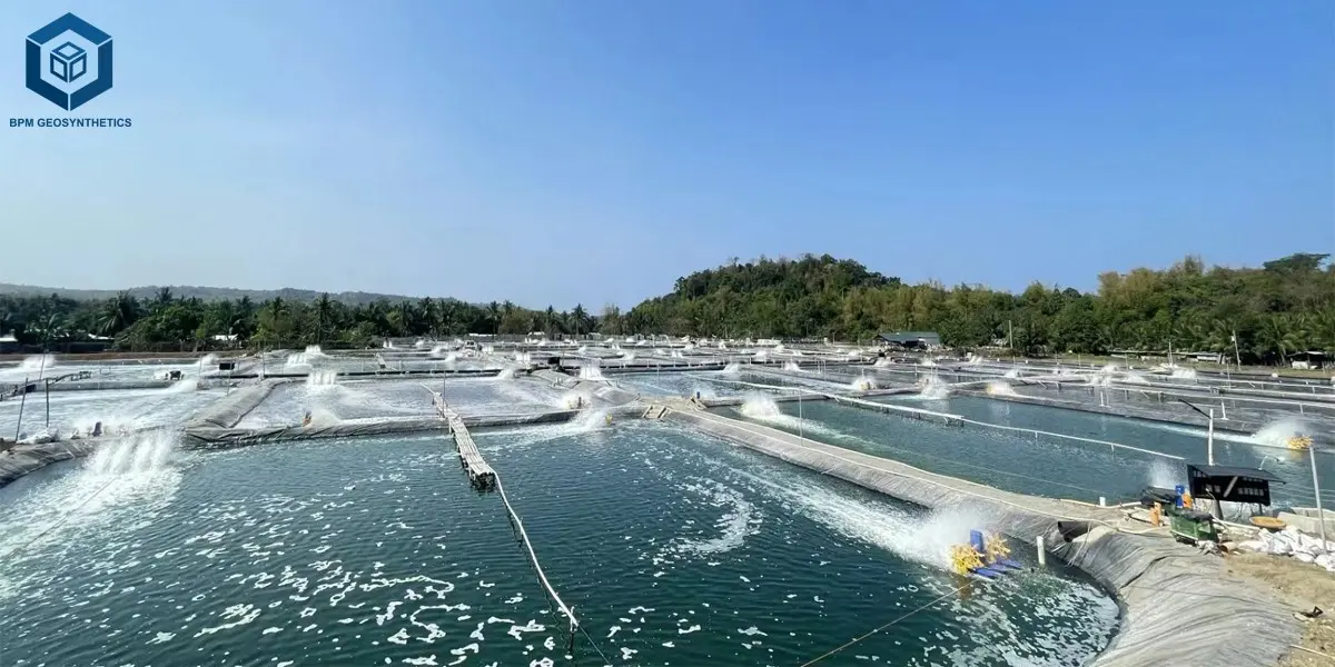 Lámina de HDPE para estanques agrícolas
